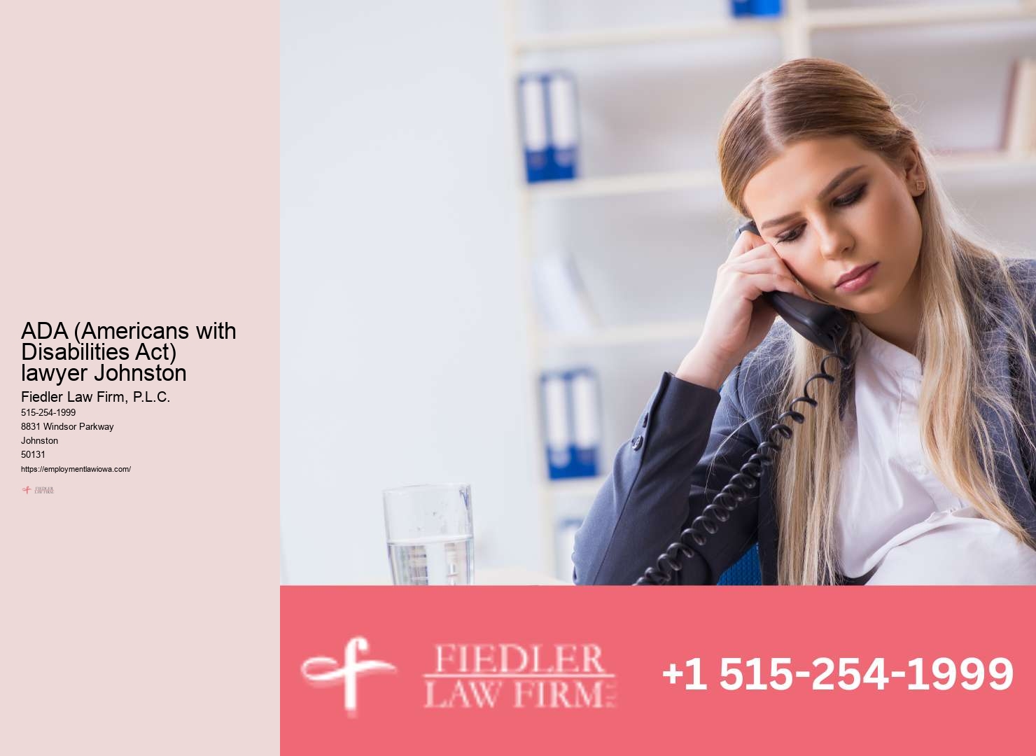 Johnston Employment Law Consultation Firm Legal Advisory Services