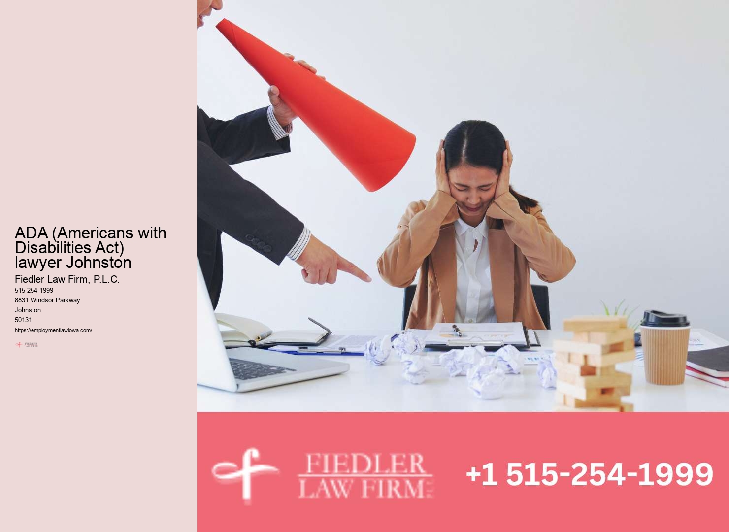 Leading Government Employment Lawyer in Johnston
