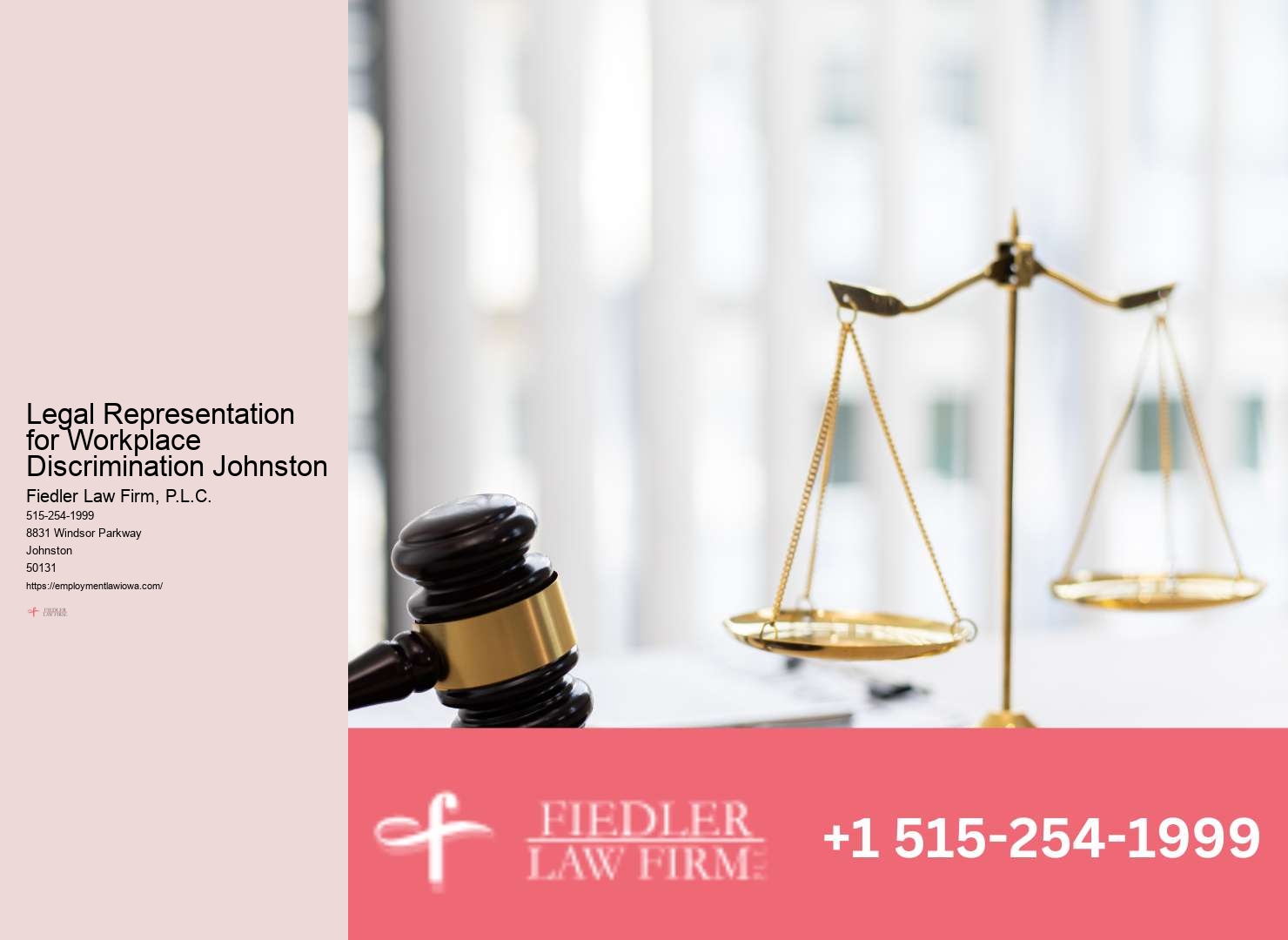 Johnston Employment Law Consultation Firm Advisory Expertise