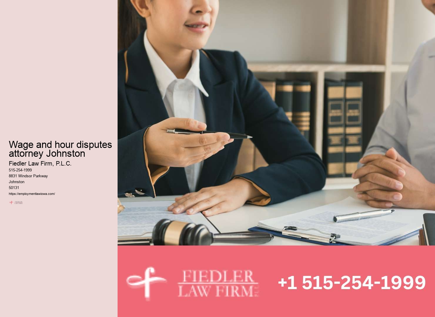 Government Employment Lawyer