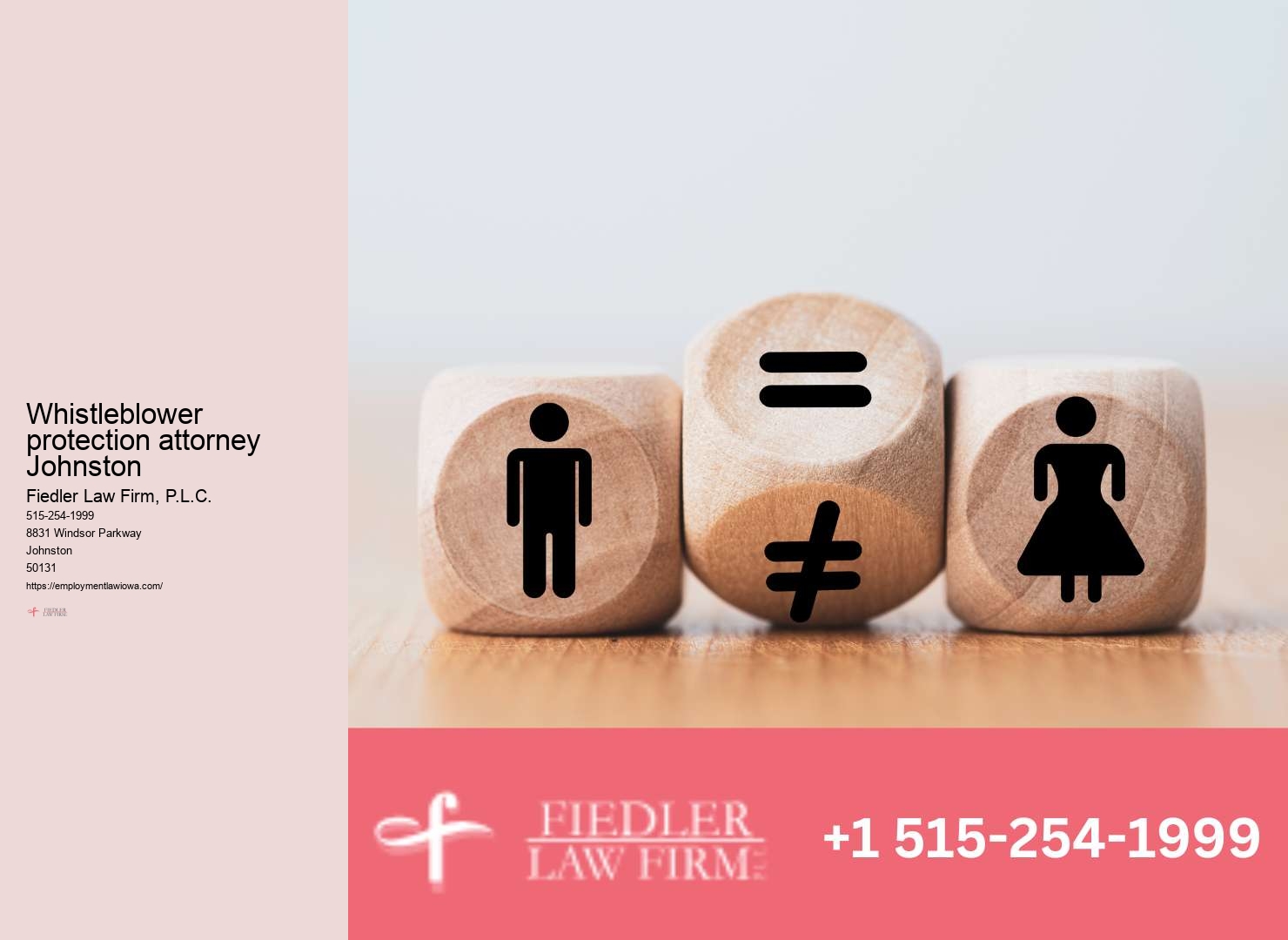 Experienced Employment Attorney Johnston