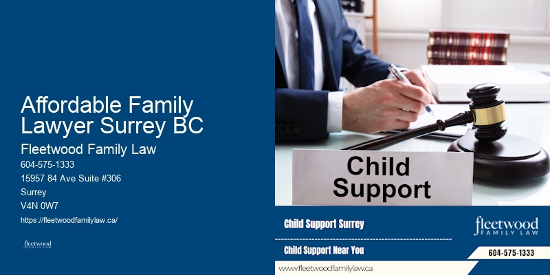 Affordable Family Lawyer Surrey BC Domestic Violence Cases Attorney