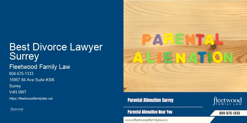 Best Divorce Lawyer Surrey Child Support Lawyer