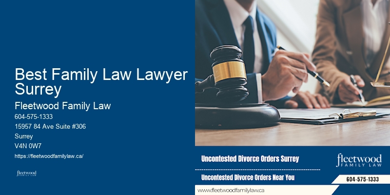 Child Custody Attorney Best Family Law Lawyer Surrey BC