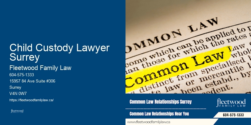 Family Law Custody Lawyer Child Custody Lawyer Surrey BC