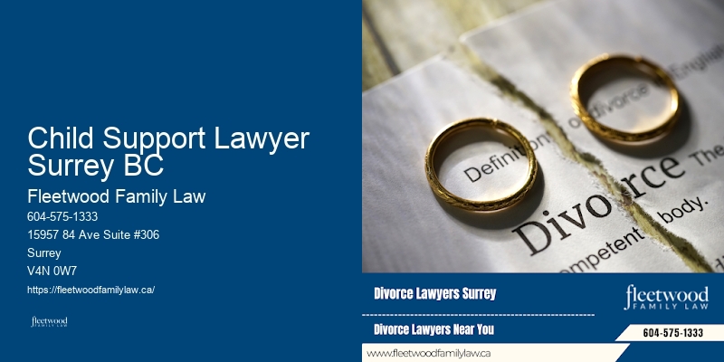 Top Family Lawyer Child Support Lawyer Surrey BC BC
