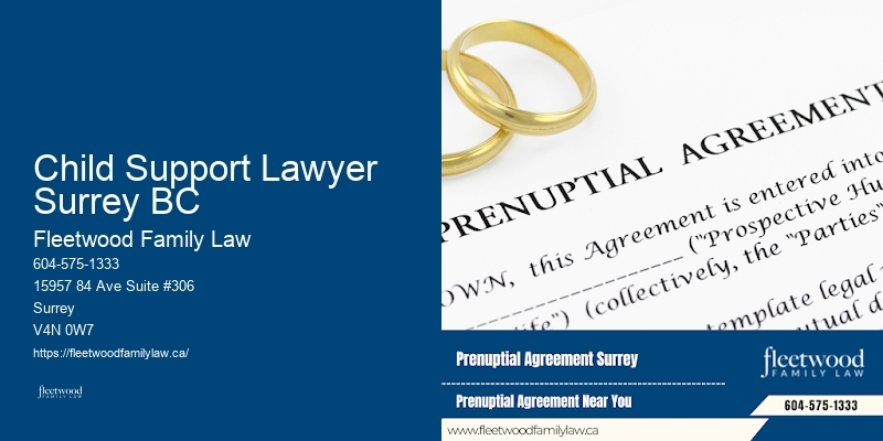 Child Support Lawyer Surrey BC Child Support Attorney