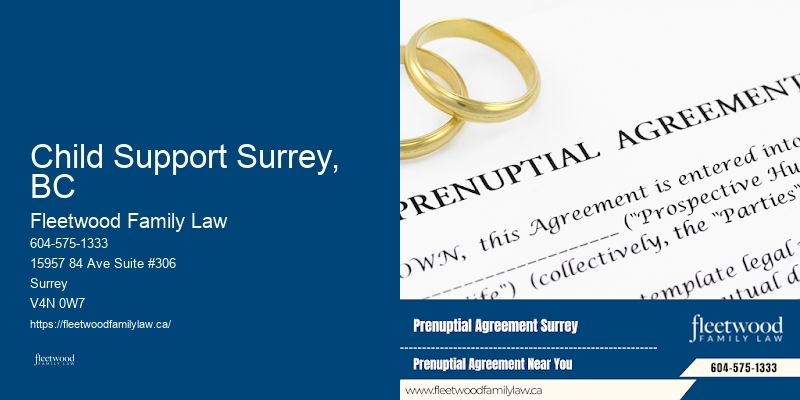 Child Support Surrey, BC Child Custody Attorney Near Me