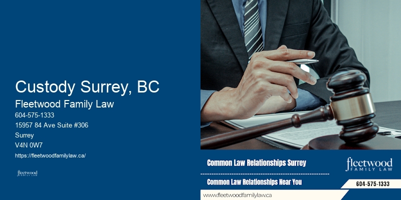 Custody Surrey, BC Child Custody Disputes Lawyer