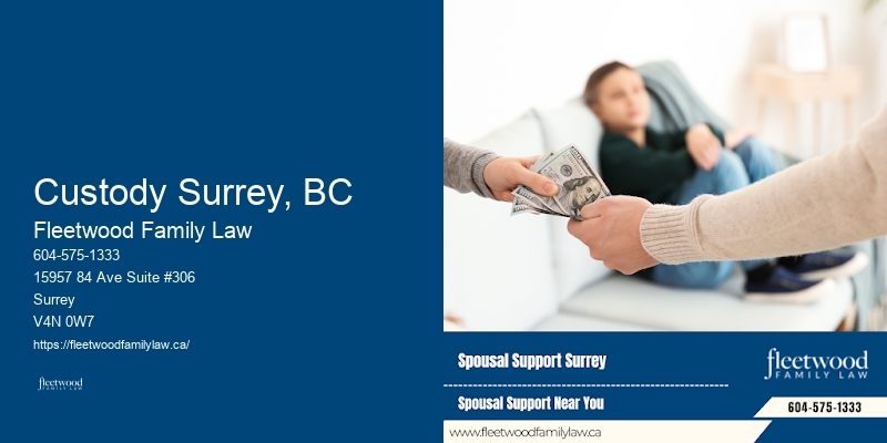 Custody Surrey, BC Guardianship Attorney