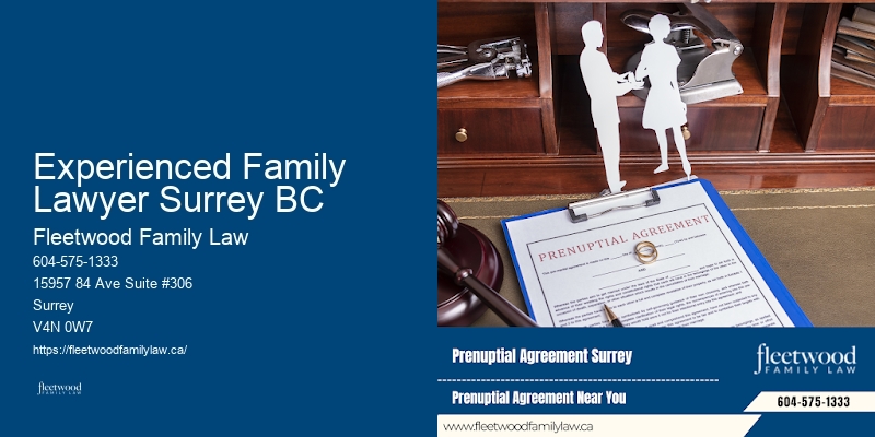 Top Child Custody Lawyers Experienced Family Lawyer Surrey BC BC
