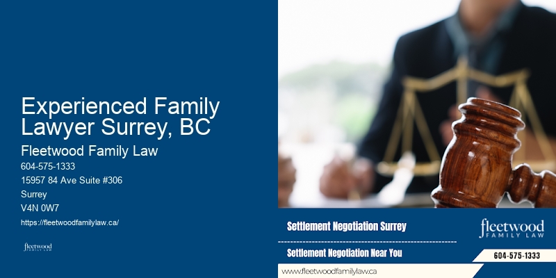 Child Custody Attorney Experienced Family Lawyer Surrey, BC, BC