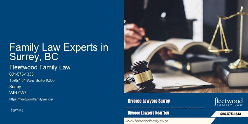 Family Law Experts in Surrey, BC Family Law Expert