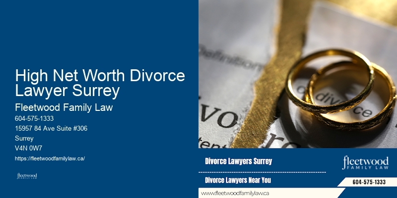 Family Law Consultation High Net Worth Divorce Lawyer Surrey BC