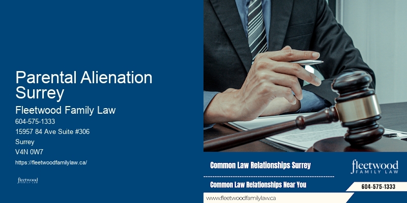 Child Support Parental Alienation Surrey, BC
