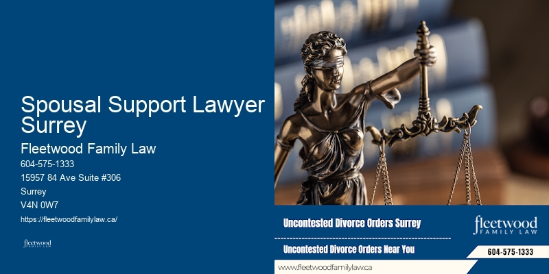 Custody Spousal Support Lawyer Surrey, BC