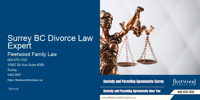 Guardianship Services for Families Surrey BC Divorce Law Expert BC