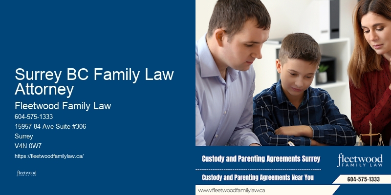 Best Divorce & Guardianship Lawyer Surrey BC Family Law Attorney