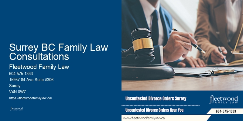 Surrey BC Family Law Consultations BC Divorce Litigation Lawyer
