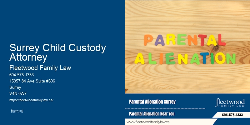 Surrey Child Custody Attorney Family Law Services Near Me