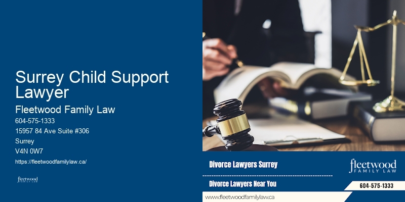 Property Dispute Resolution Surrey Child Support Lawyer BC