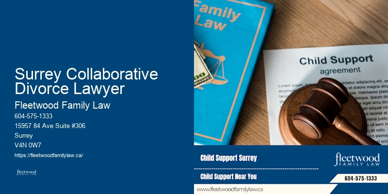 Surrey Collaborative Divorce Lawyer Family Lawyer Specializing in Custody