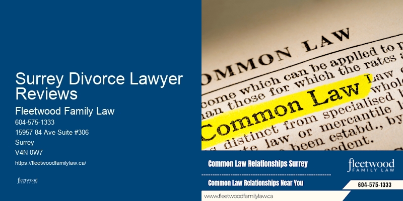 Child Custody Mediation Lawyer Surrey Divorce Lawyer Reviews