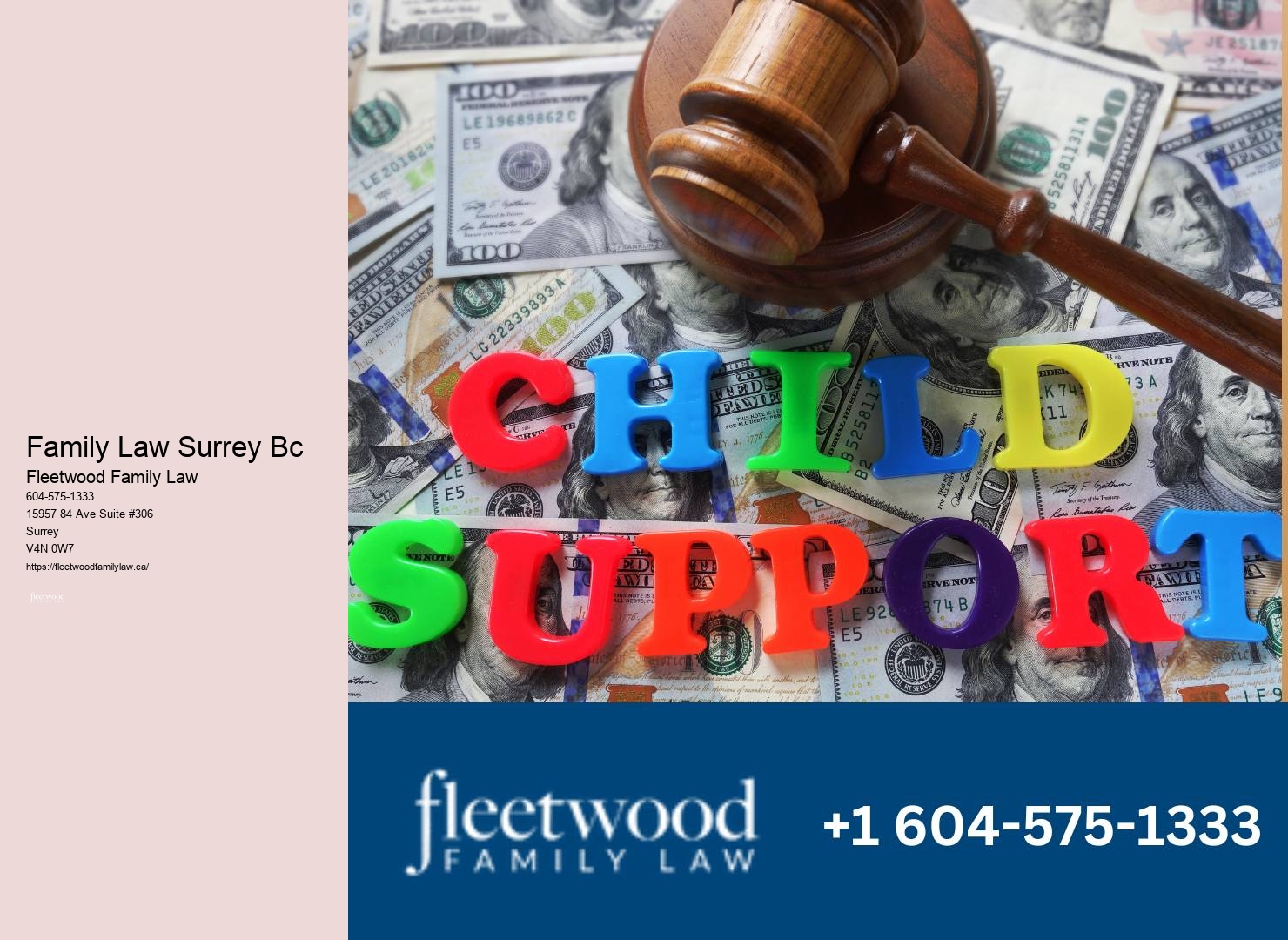Family lawyer Surrey courtroom experience