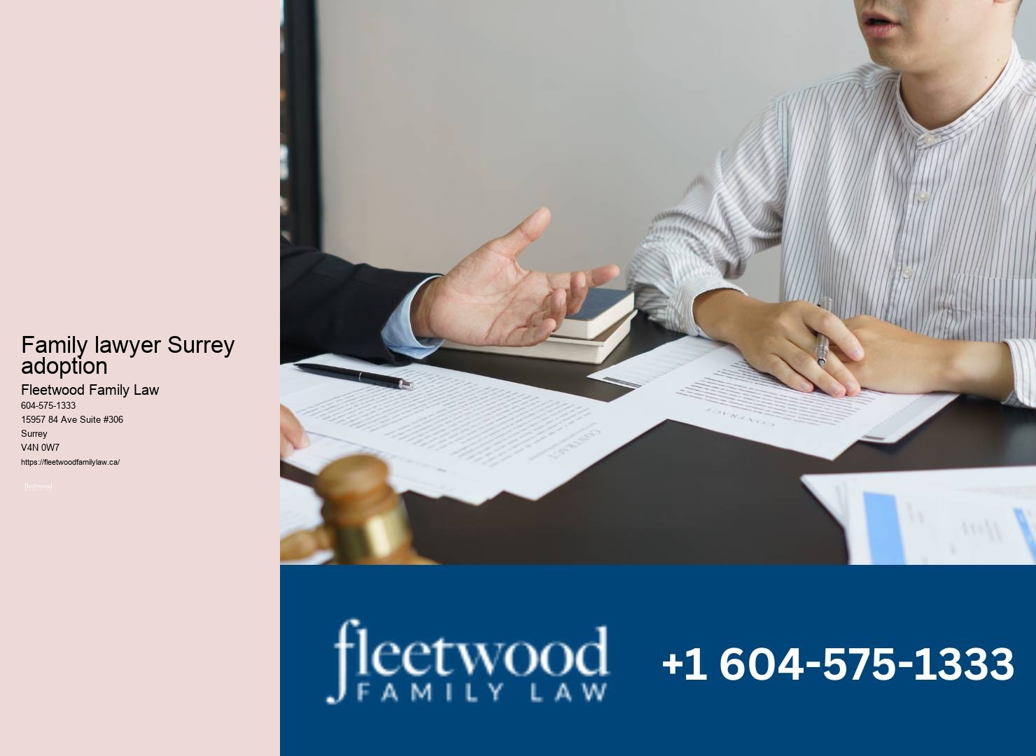 Family Lawyer Surry Hills