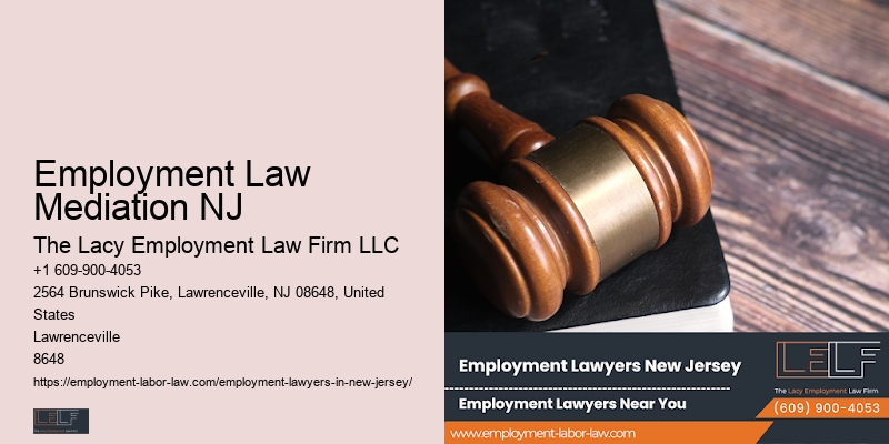 NJ Employment Litigation Expert