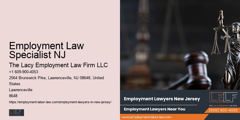 Employment Law Specialist NJ