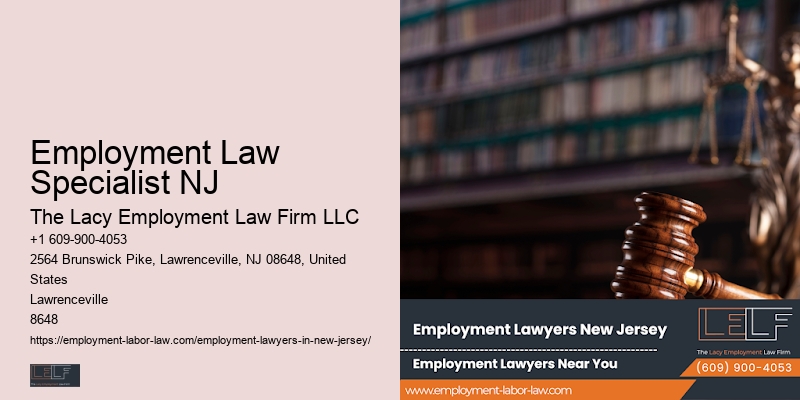 NJ Employment Lawyer For Corporate Clients