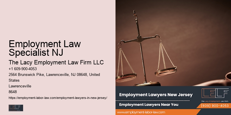 NJ Top Employment Lawyers