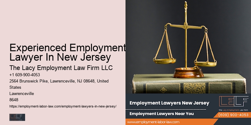 NJ Public Sector Employment Lawyer