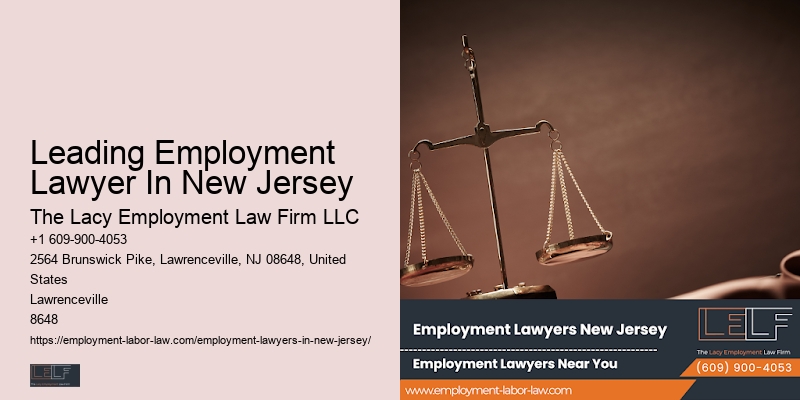 NJ Employment Rights Consultant