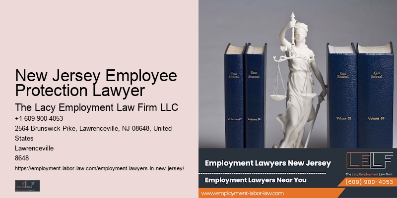 New Jersey Employee Protection Lawyer Disability Employment Rights