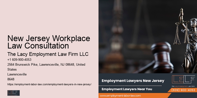 New Jersey Workplace Law Consultation