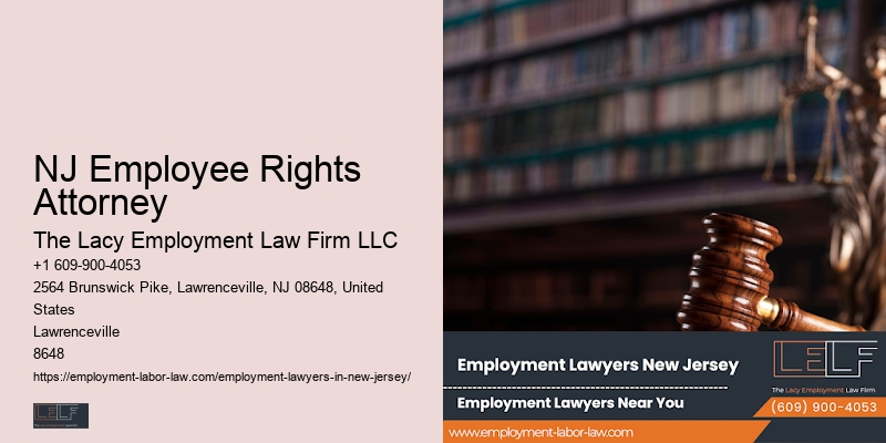 NJ Workplace Investigation Lawyer