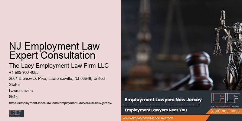 NJ Employment Law Expert Consultation