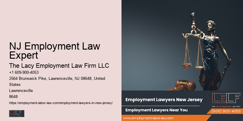 NJ Employment Law Expert Job Termination Expert