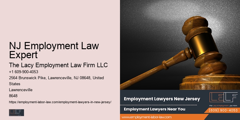 NJ Employment Law Expert Job Dispute Expert