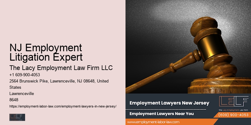 NJ Employment Litigation Expert Employment Litigation Lawyer