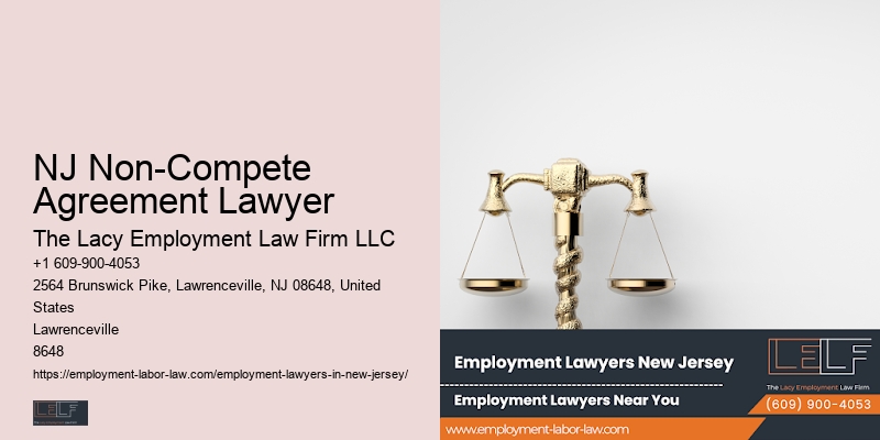 Employment Litigation Lawyer NJ