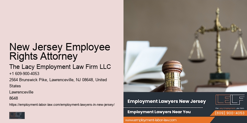 NJ employment issues legal representation