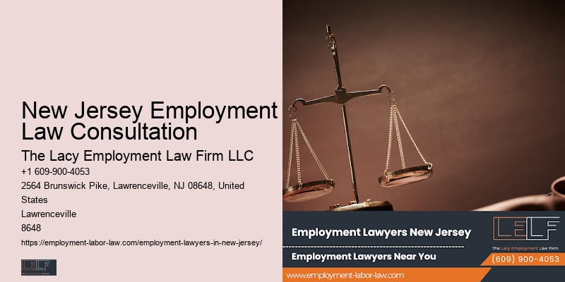 Knowledgeable Workplace Attorney in New Jersey Employment Law Consultation