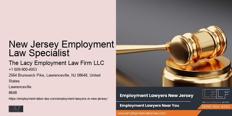 New Jersey Employment Law Specialist Employment Law Representation