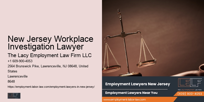 New Jersey Workplace Investigation Lawyer Employment Law Defense Attorney