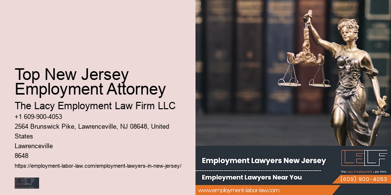 Top New Jersey Employment Attorney Employment Law Litigation Attorney