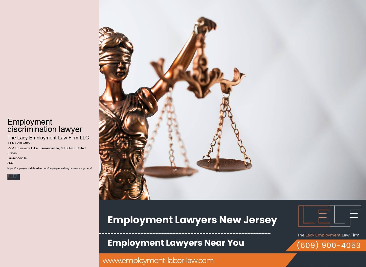 Premier NJ Employment Lawyers