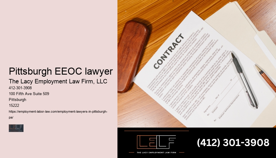 Pittsburgh Employment Rights Legal Consultant